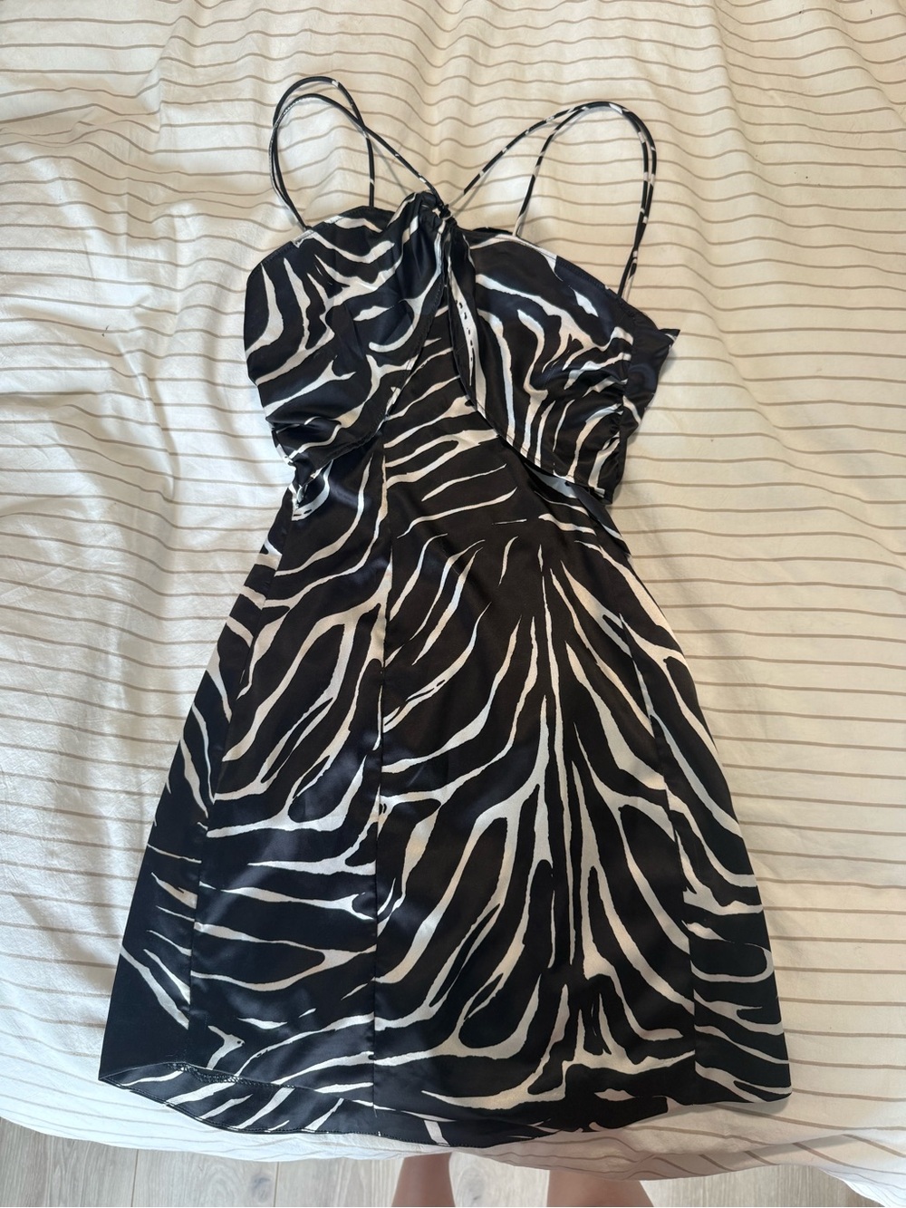 Zara Black and White Zebra Mini Dress